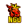 NGU_logo_GoldSmT.png