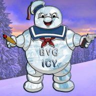 BVG ICY
