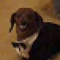 wunder