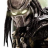 RGN PREDATOR