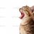 RoarKittensRoar