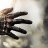 rich212